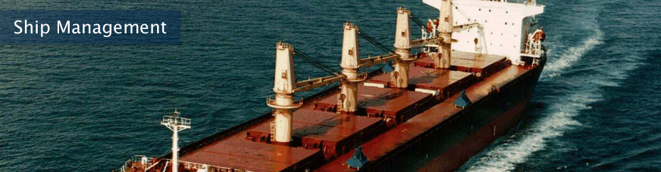goa ship chartering