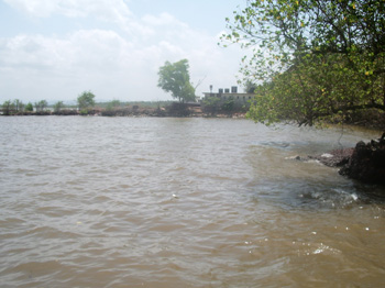 site2